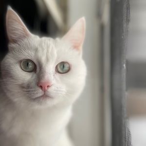 Meet your Posher, Gemma